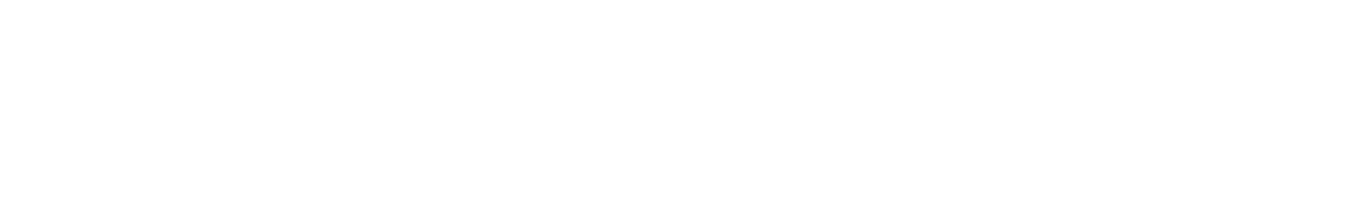 The Neo Team